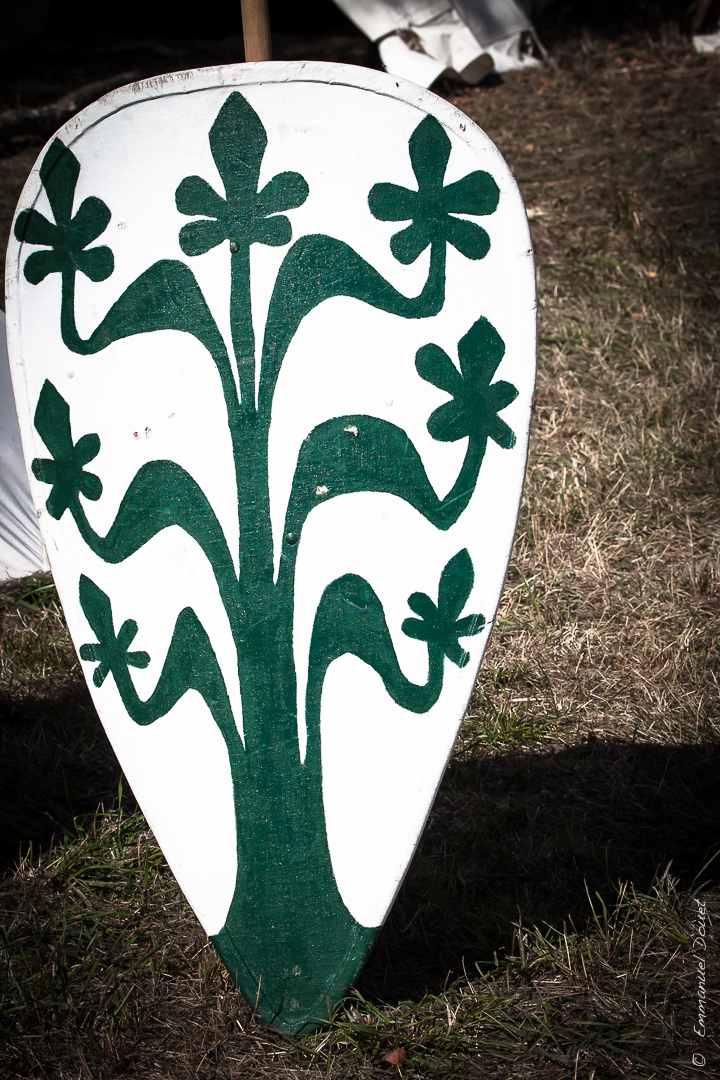 Muret 1213 2013 (2 sur 63)